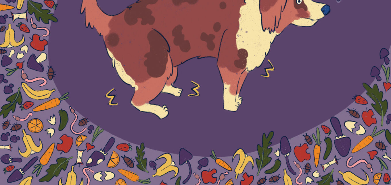 Compost Poisoning in Dogs – Mother Earth News - Vimarsana News